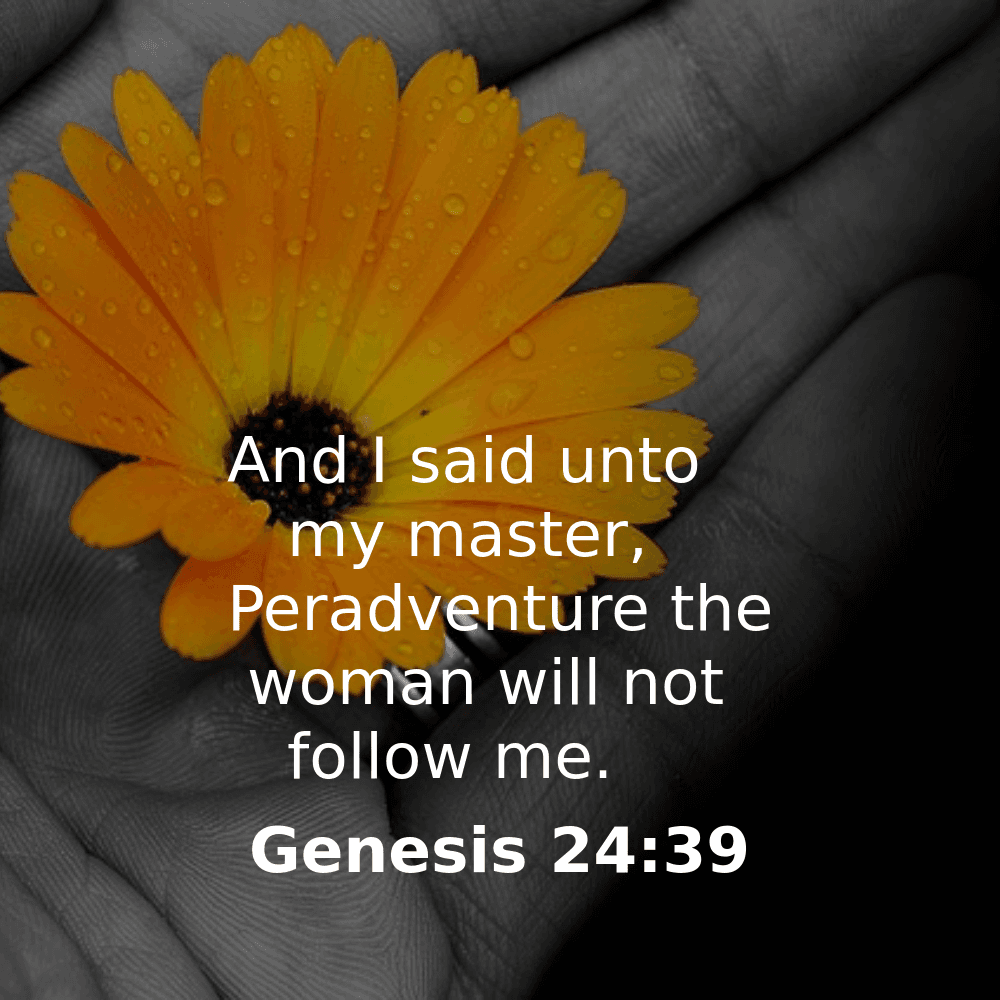 Genesis 24:39 - Bibleverses.net