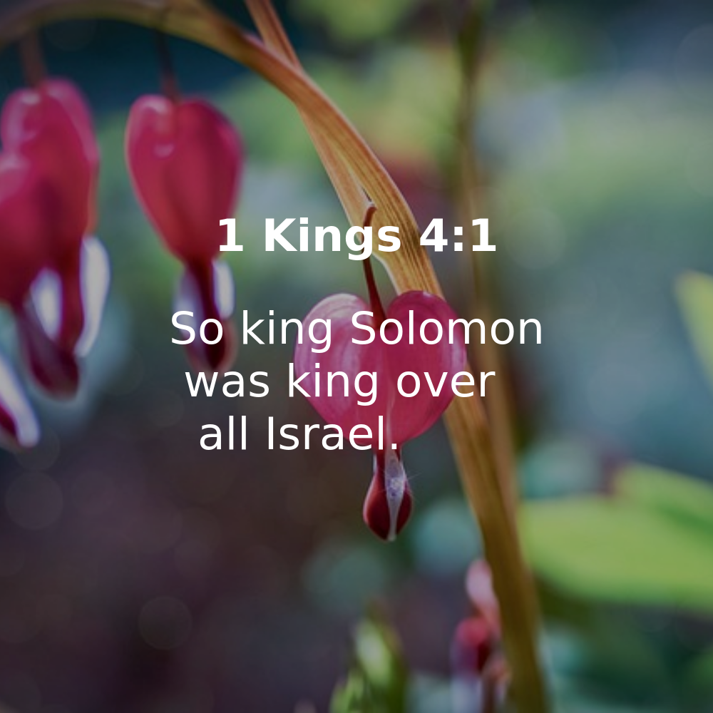 1 Kings 4:1 - Bibleverses.net