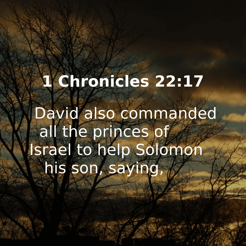 1 Chronicles 22:17 - Bibleverses.net