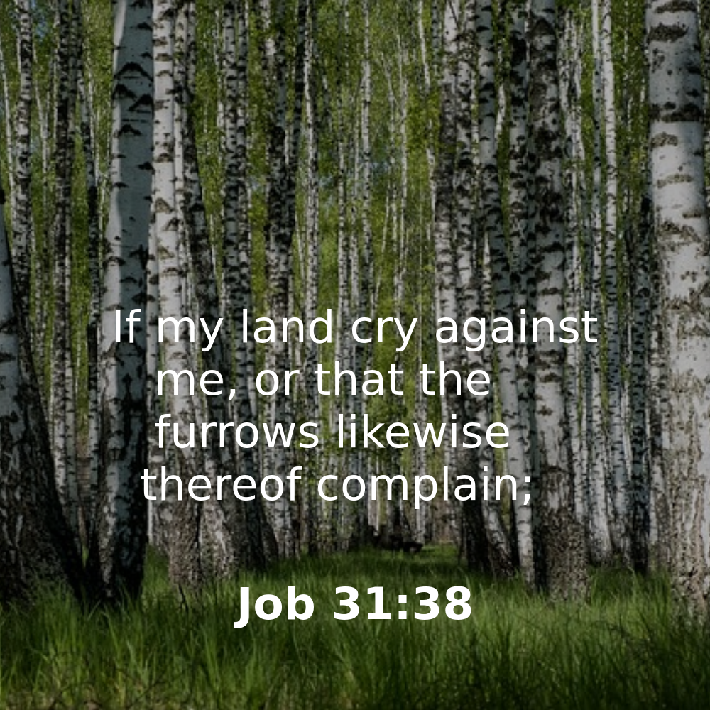 Job 31:38 - Bibleverses.net