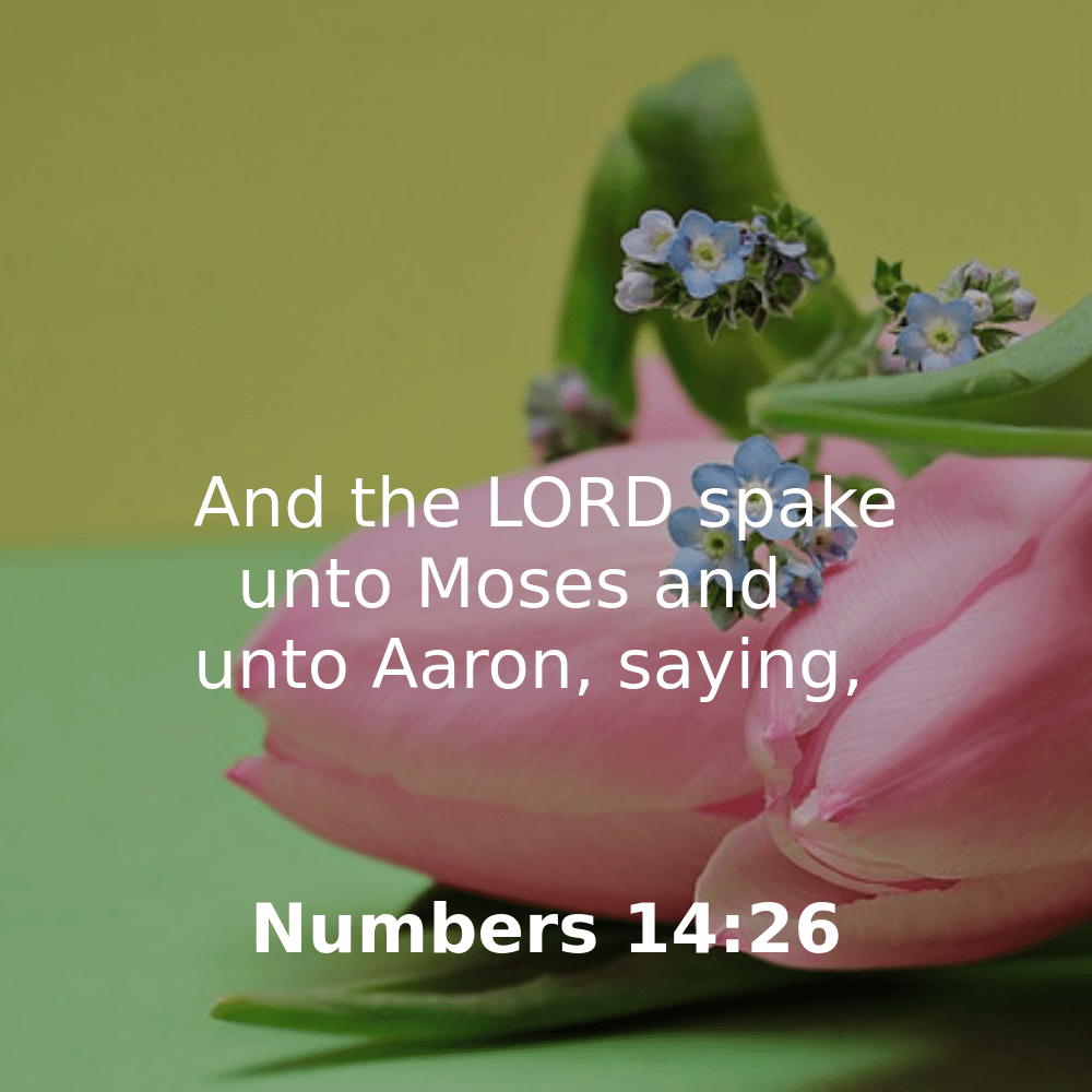 Numbers 14:26 - Bibleverses.net