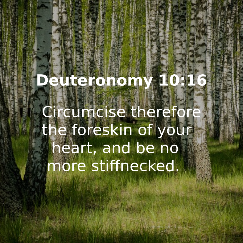 Deuteronomy 10:16 - Bibleverses.net