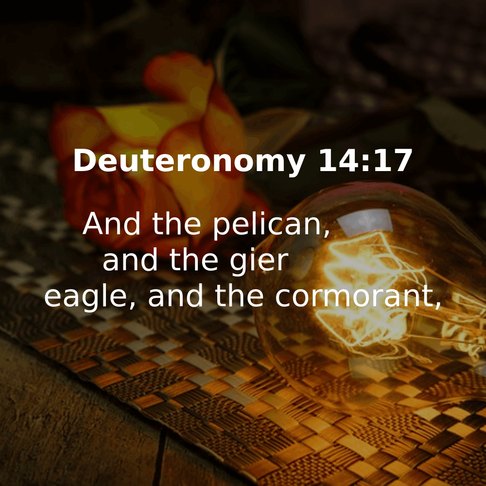 Deuteronomy 14:17 - Bibleverses.net