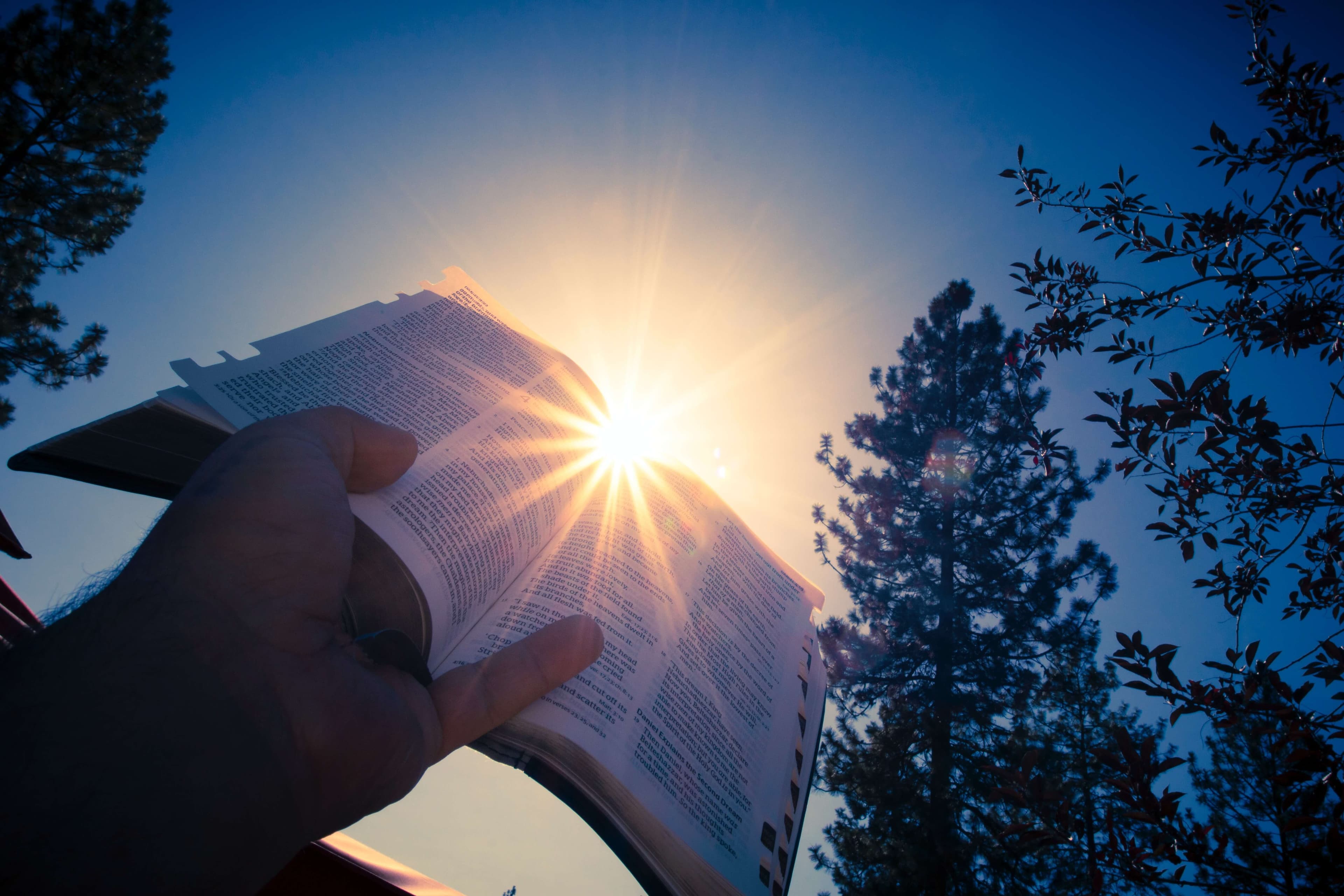 Prayer - Bibleverses.net