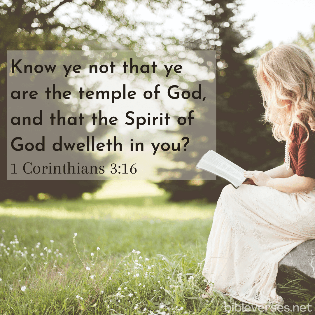 1 Corinthians 3:16 - Bibleverses.net