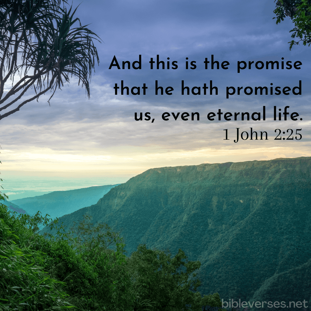 1 John 2:25 - Bibleverses.net