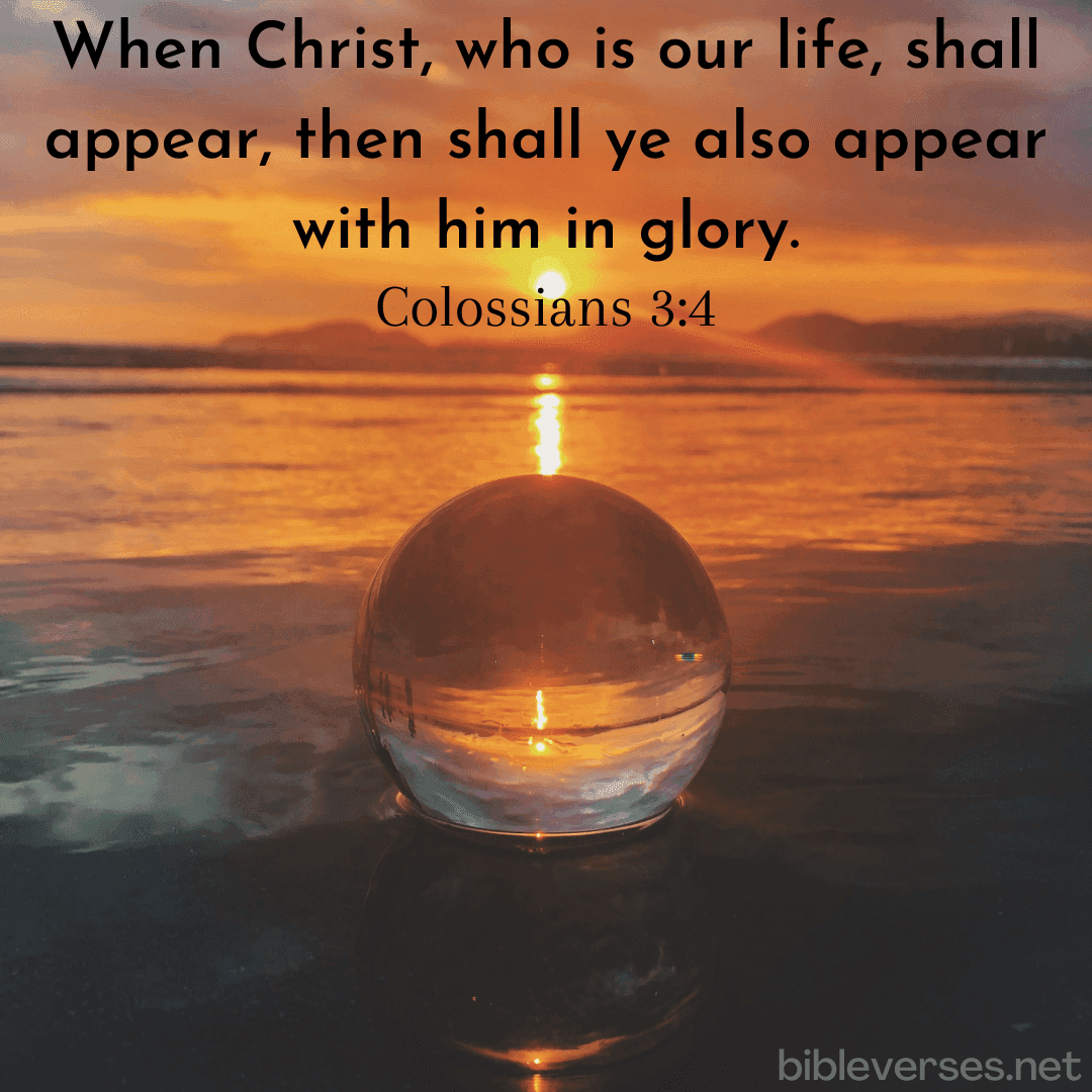 Colossians 3:4 - Bibleverses.net