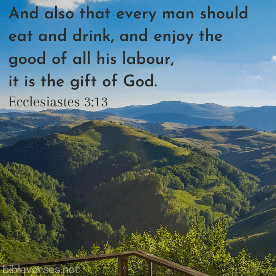 Ecclesiastes 3:13 - Bibleverses.net