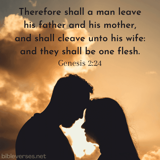 Genesis 2:24 - Bibleverses.net