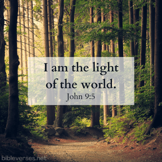John 9:5 - Bibleverses.net