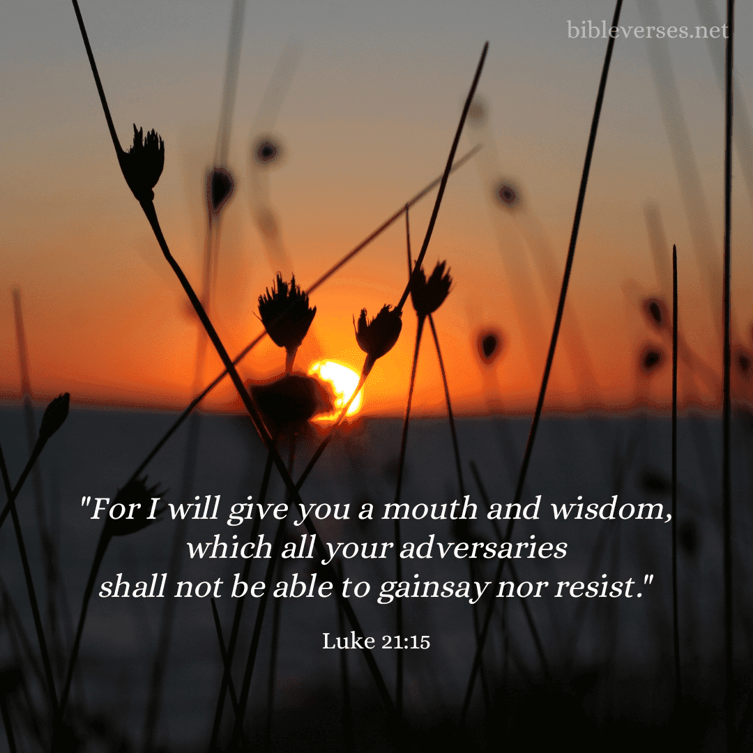 Luke 21:15 - Bibleverses.net