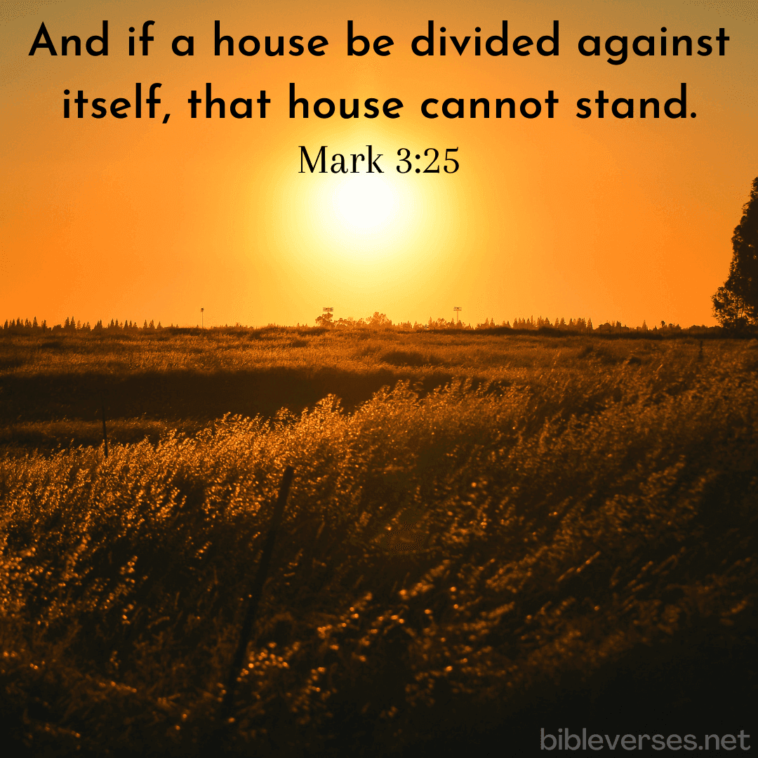 Mark 3:25 - Bibleverses.net