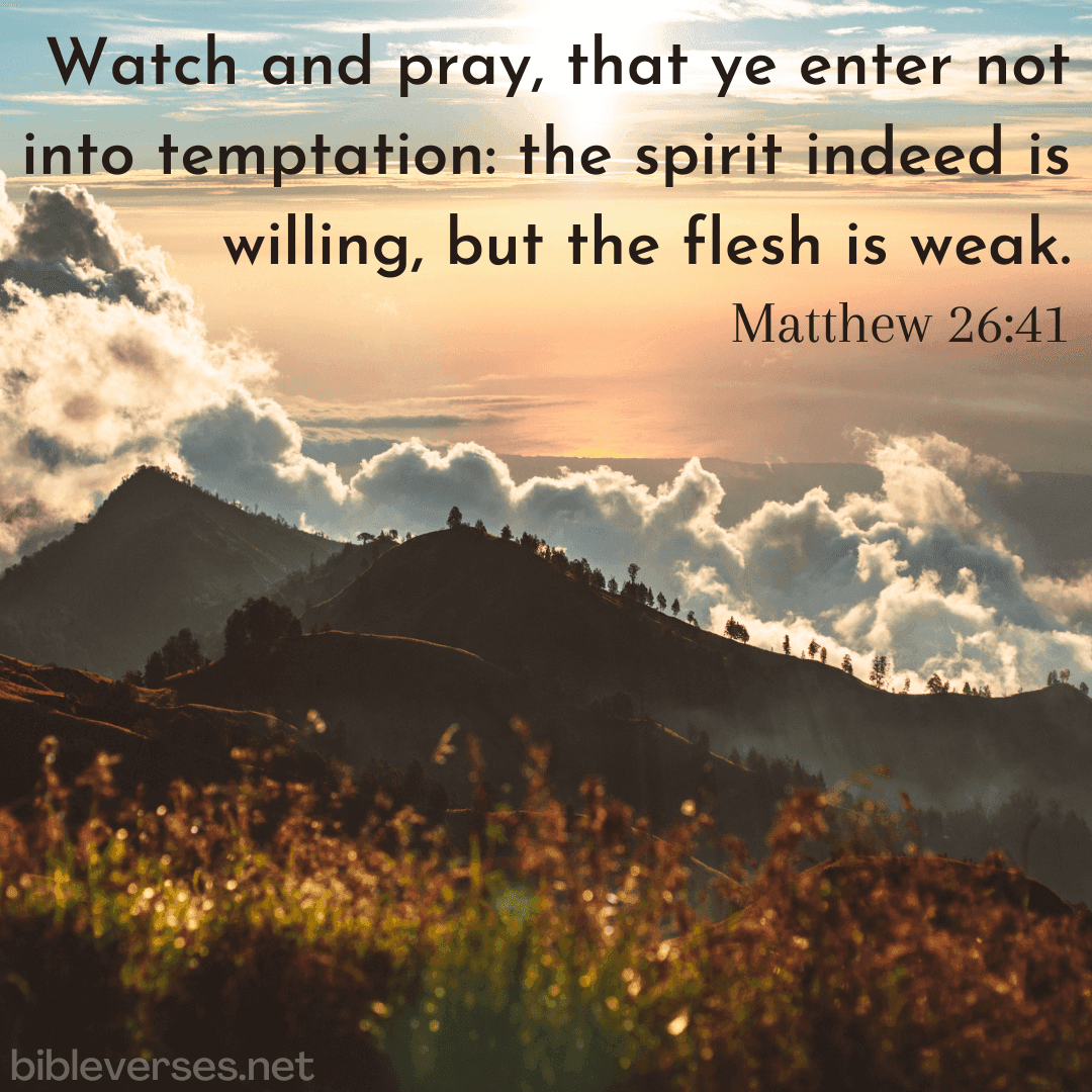 Matthew 26:41 - Bibleverses.net