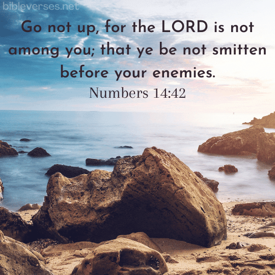 Numbers 14:42 - Bibleverses.net
