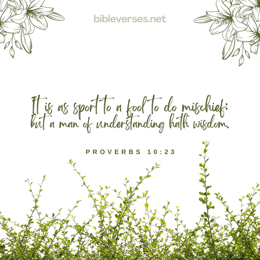 Proverbs 10:23 - Bibleverses.net
