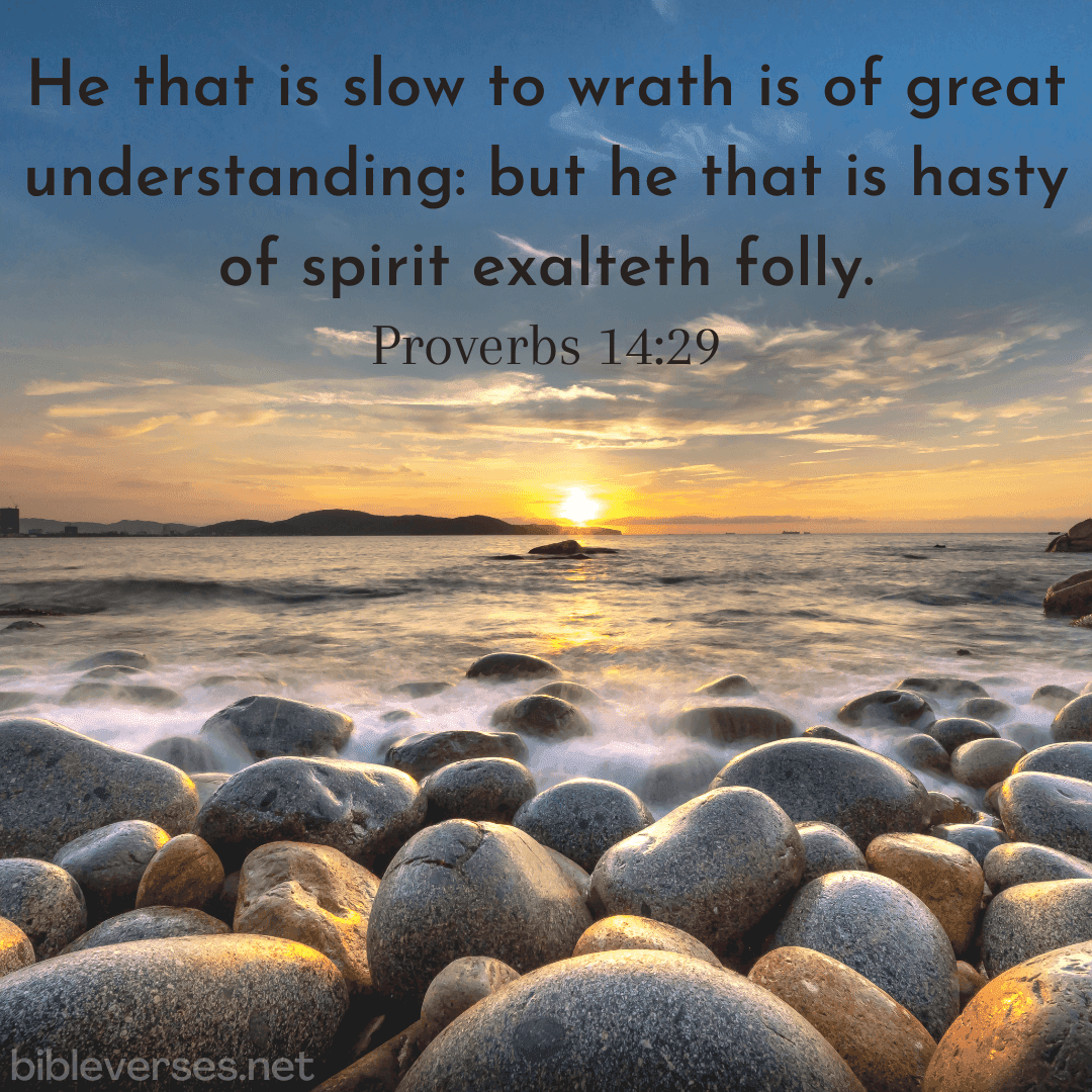 Proverbs 14:29 - Bibleverses.net