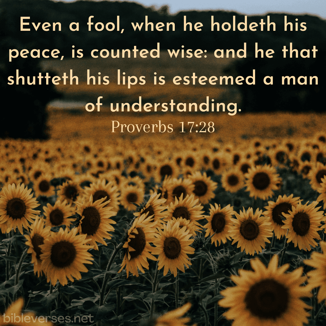 Proverbs 17:28 - Bibleverses.net