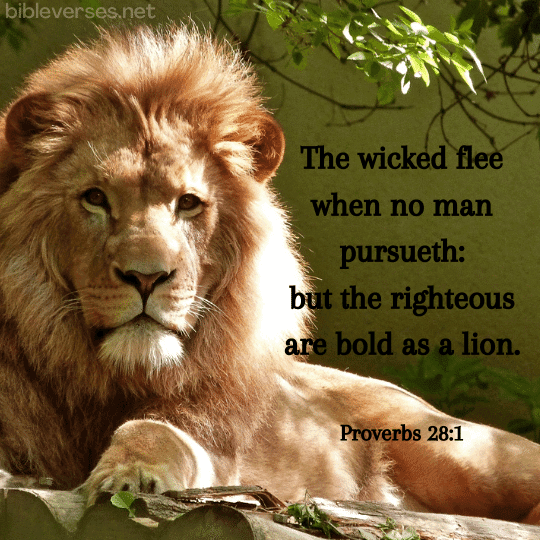 Proverbs 28:1 - Bibleverses.net