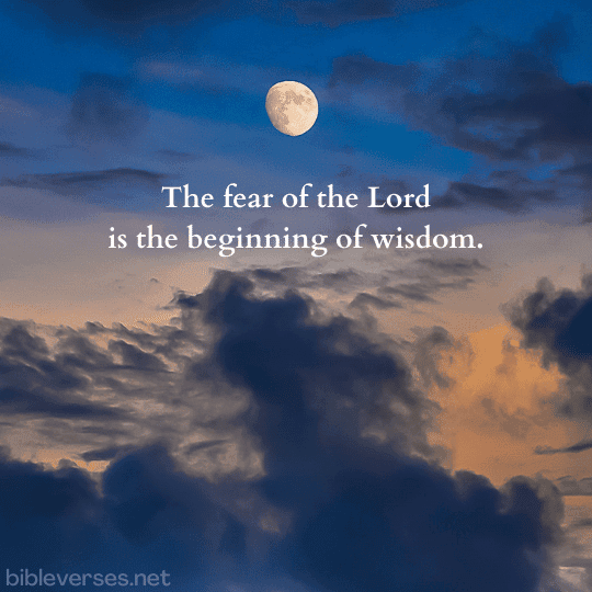 Psalms 111:10 - Bibleverses.net