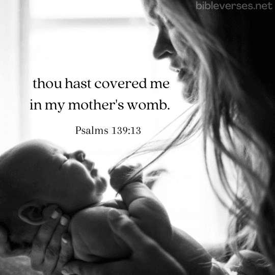 Psalms 139:13 - Bibleverses.net