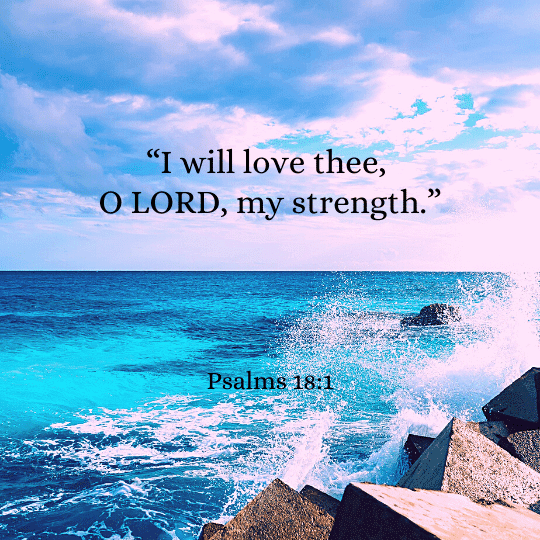 Psalms 18:1 - Bibleverses.net