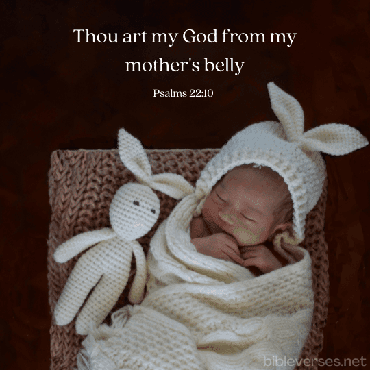 Psalms 22:10 - Bibleverses.net
