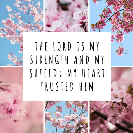 Psalms 28:7 - Bibleverses.net