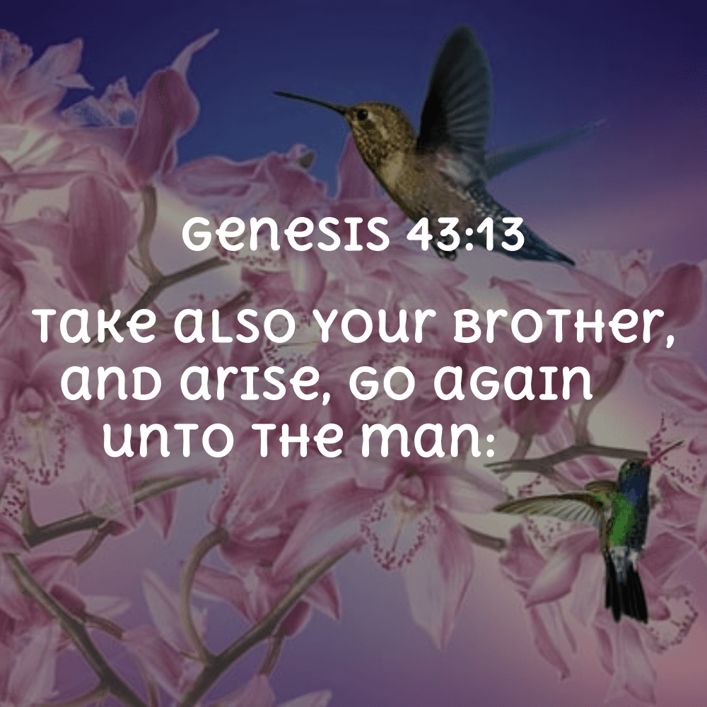 Genesis 43:13 - Bibleverses.net