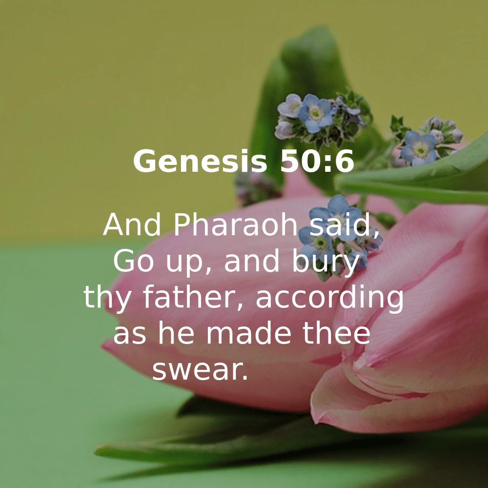 Genesis 50:6 - Bibleverses.net