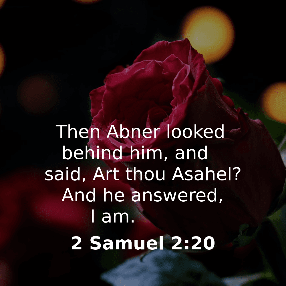 2 Samuel 2:20 - Bibleverses.net