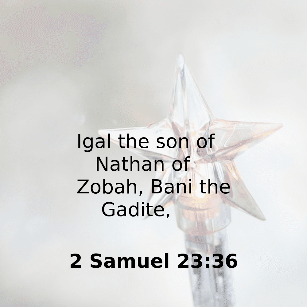 2 Samuel 23:36 - Bibleverses.net