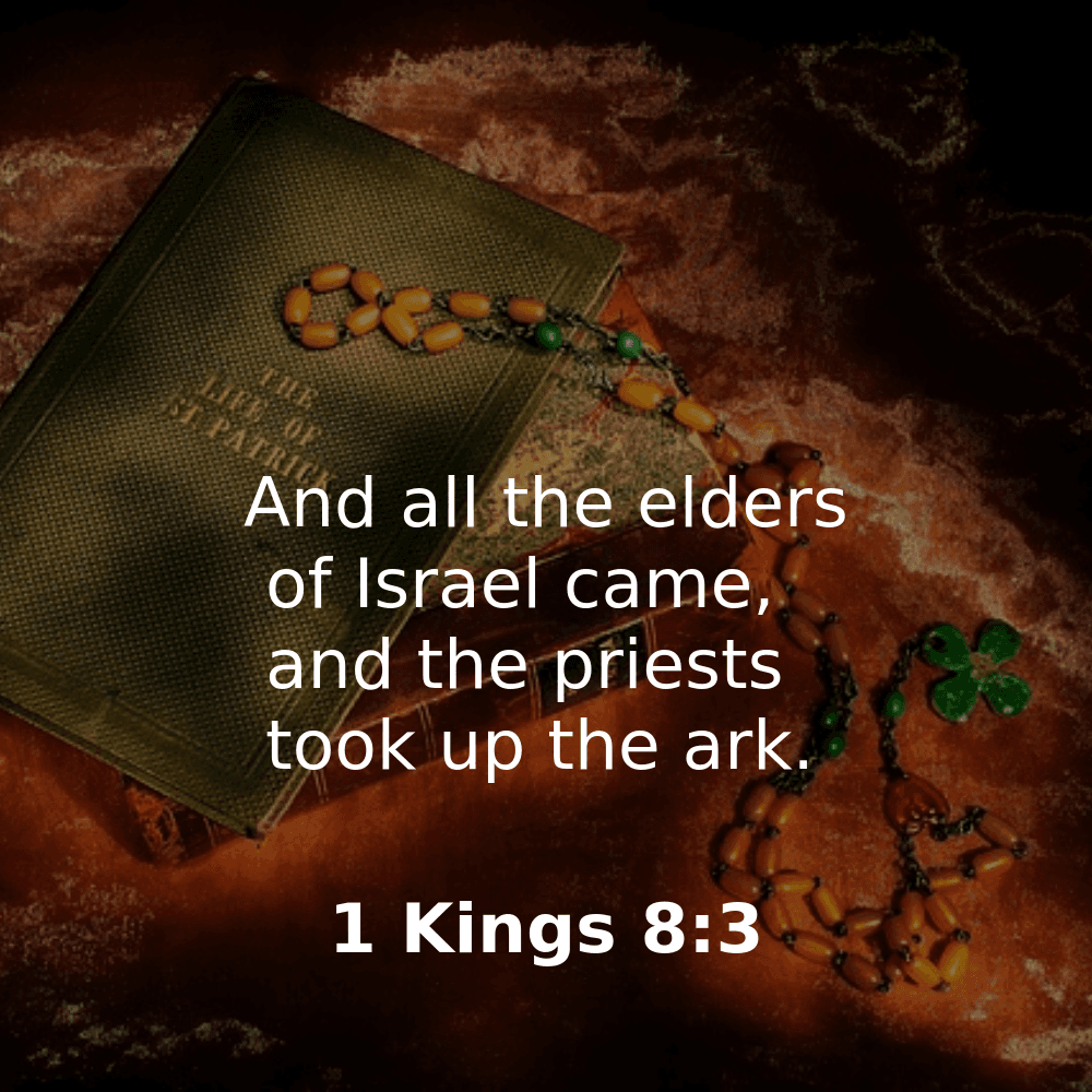 1 Kings 8:3 - Bibleverses.net