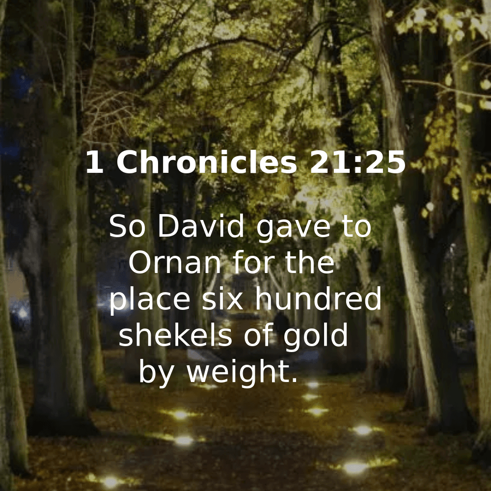 1 Chronicles 21:25 - Bibleverses.net