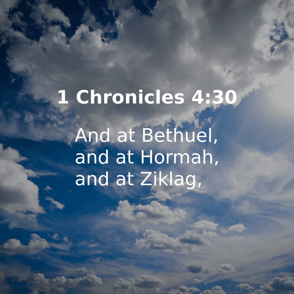 1 Chronicles 4:30 - Bibleverses.net