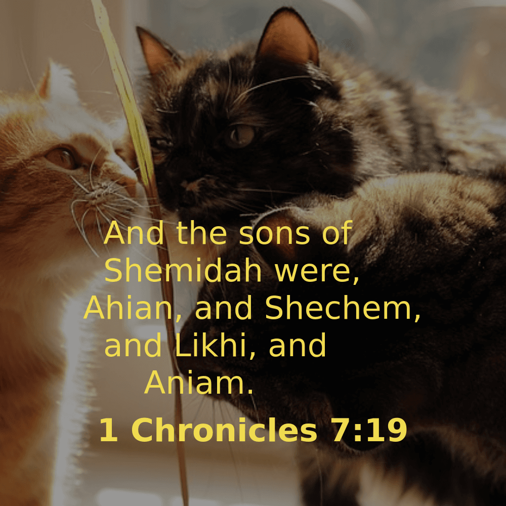 1 Chronicles 7:19 - Bibleverses.net