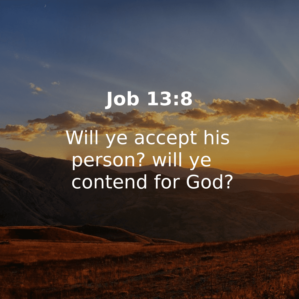 Job 13:8 - Bibleverses.net