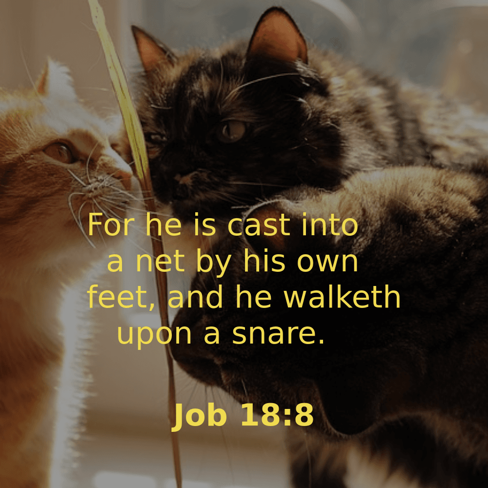 Job 18:8 - Bibleverses.net