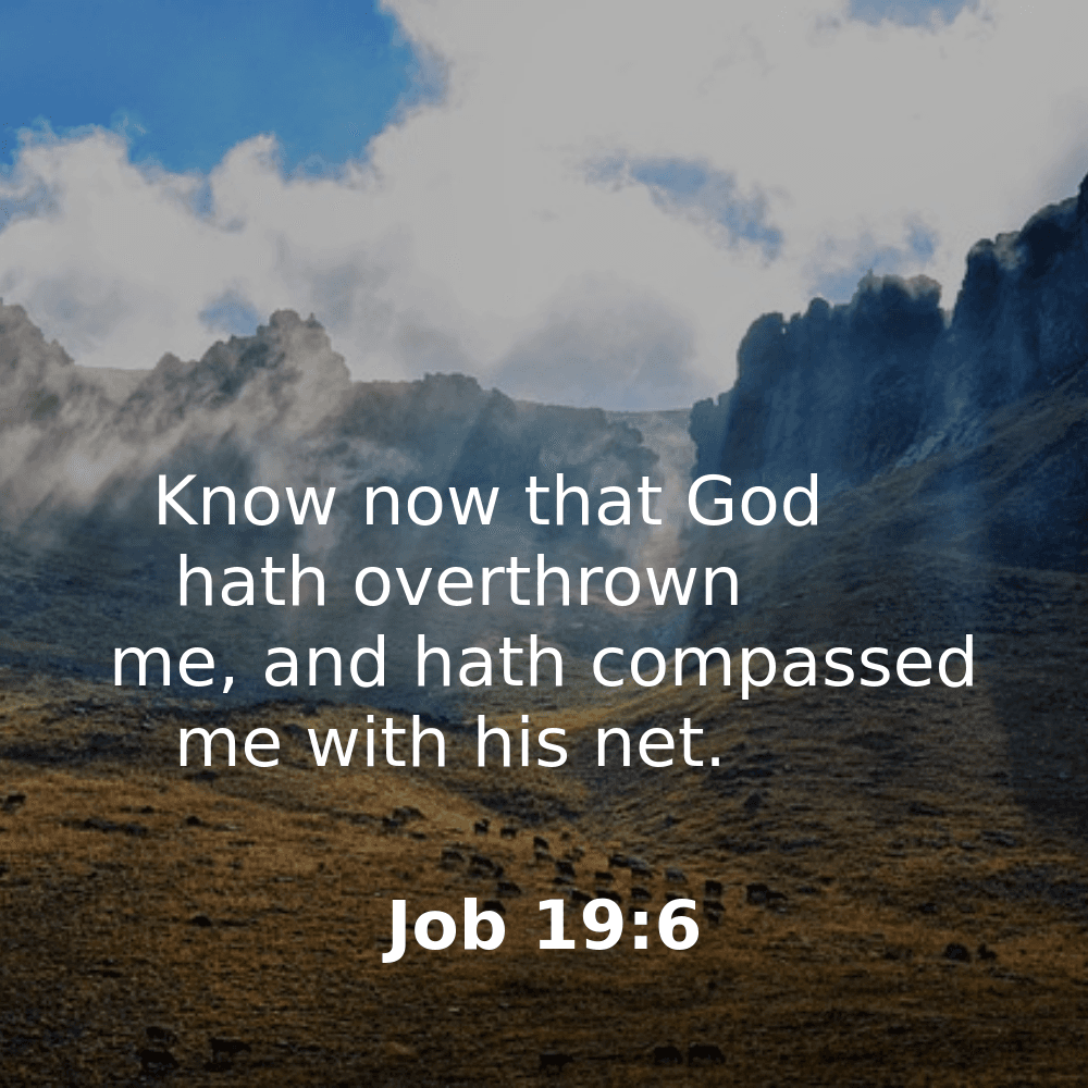 Job 19:6 - Bibleverses.net