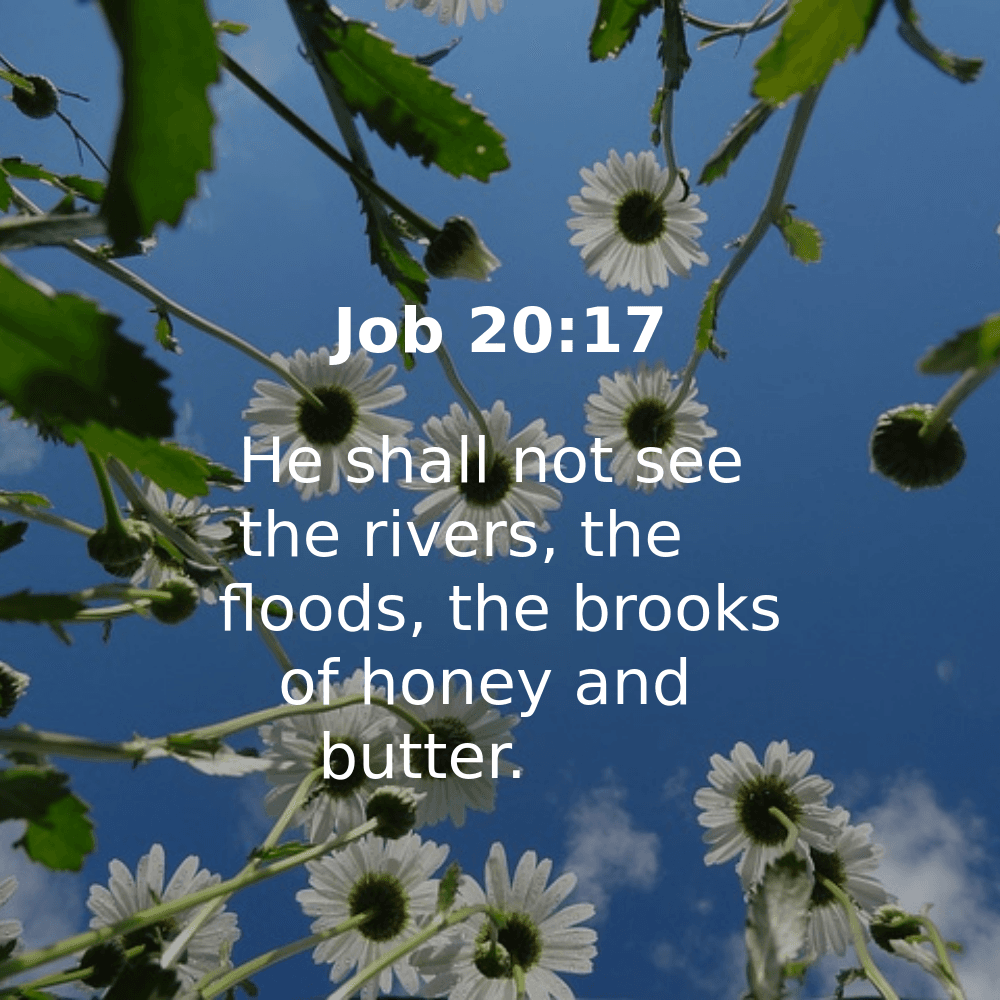 Job 20:17 - Bibleverses.net