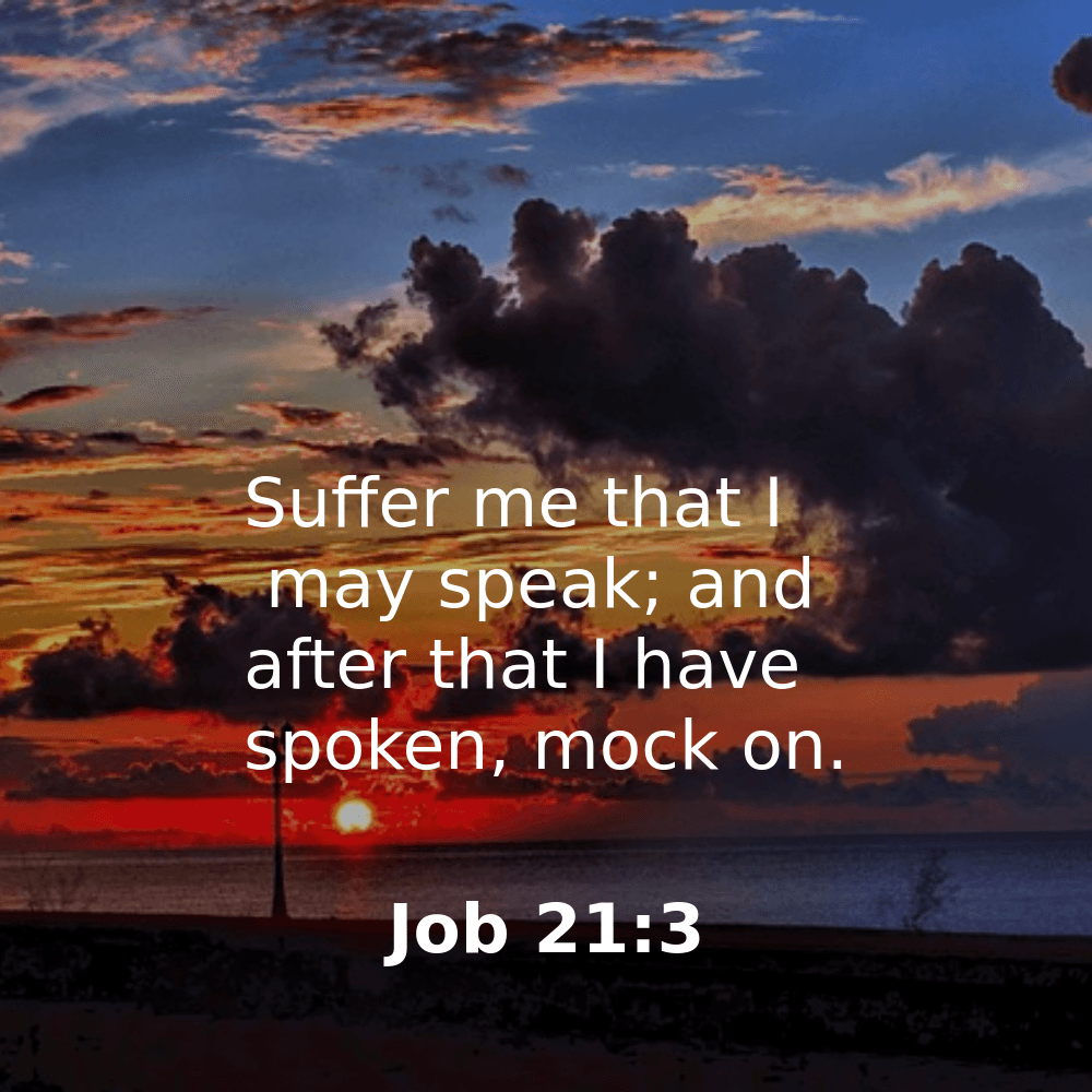 Job 21:3 - Bibleverses.net