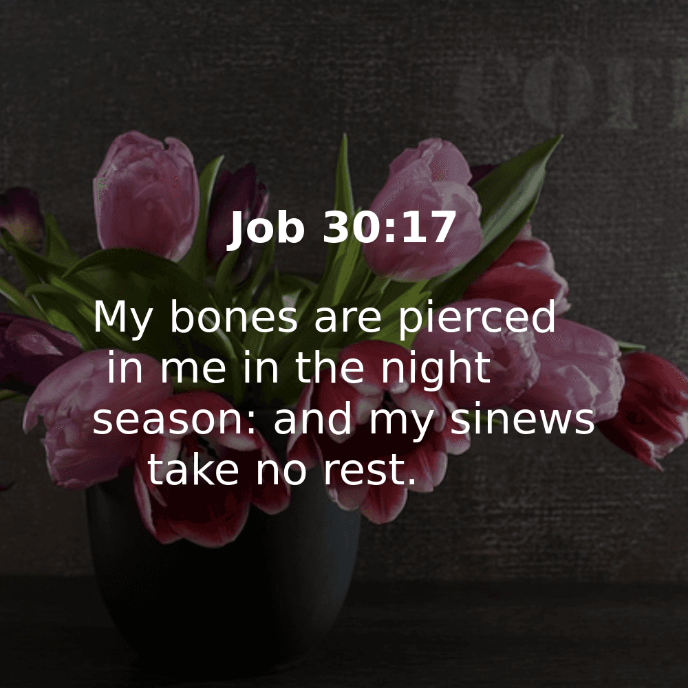 Job 30:17 - Bibleverses.net