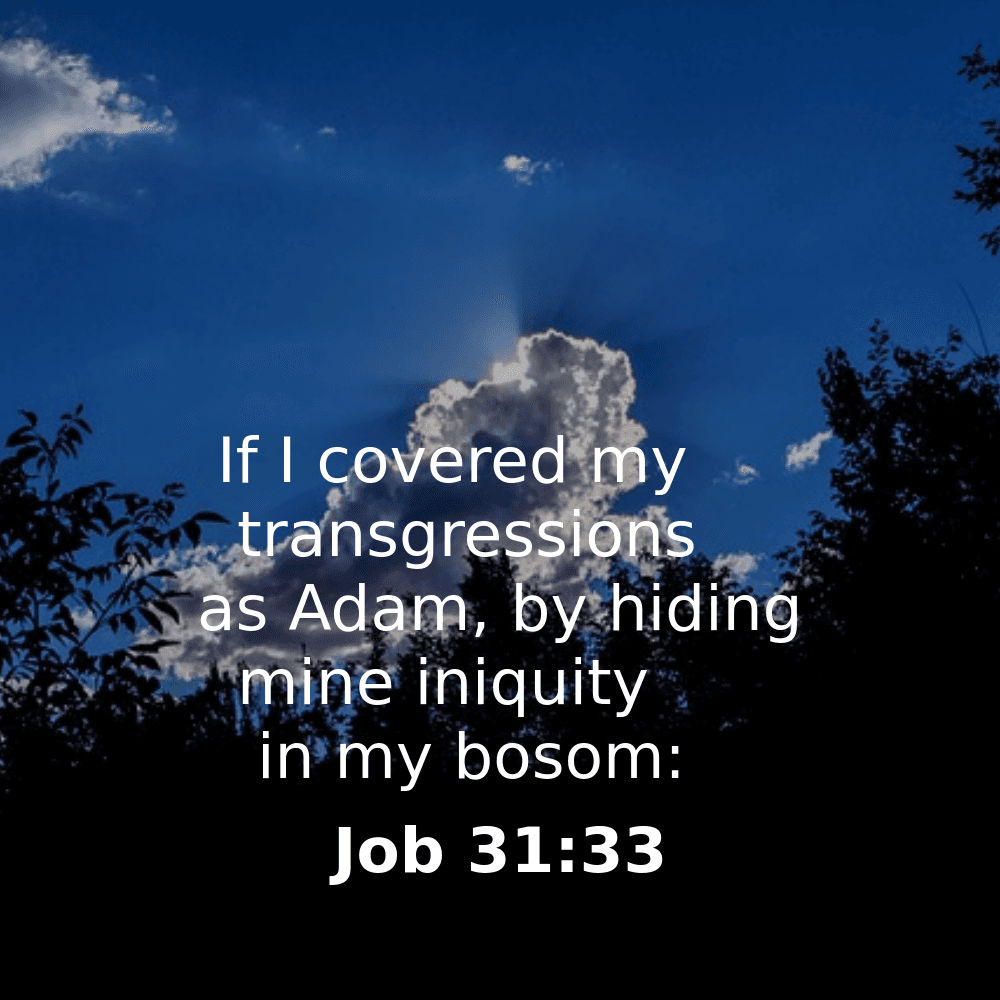 Job 31:33 - Bibleverses.net