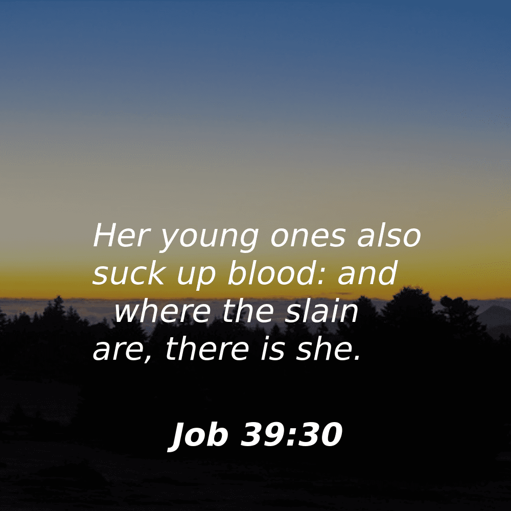 Job 39:30 - Bibleverses.net