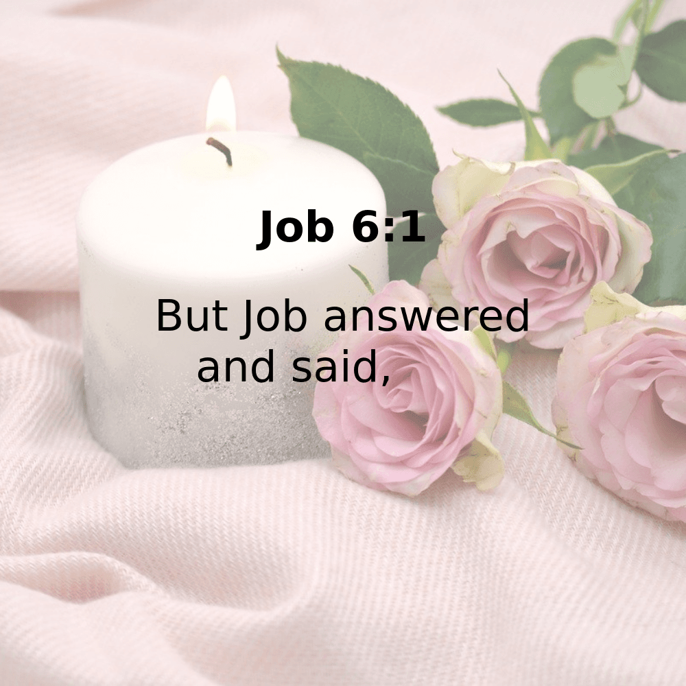 Job 6:1 - Bibleverses.net