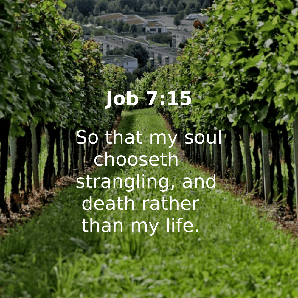 Job 7:15 - Bibleverses.net