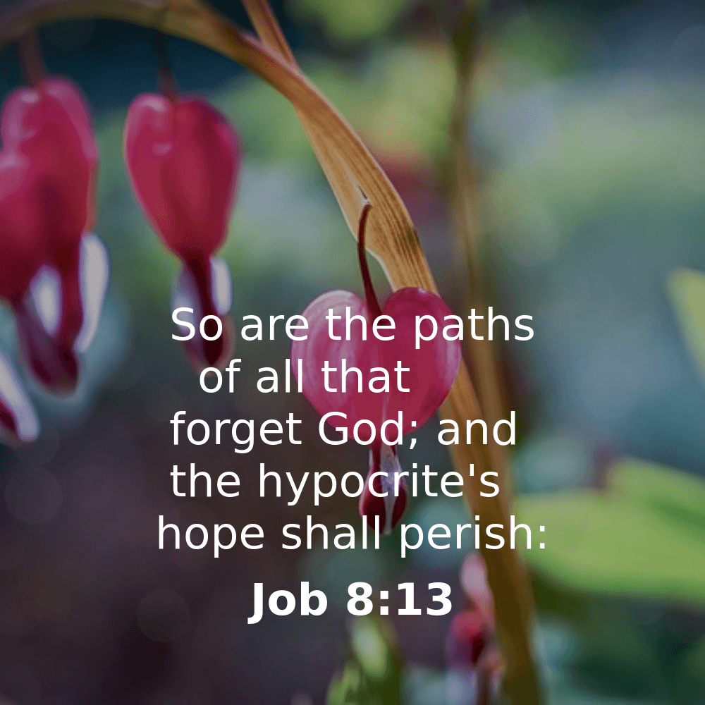 Job 8:13 - Bibleverses.net