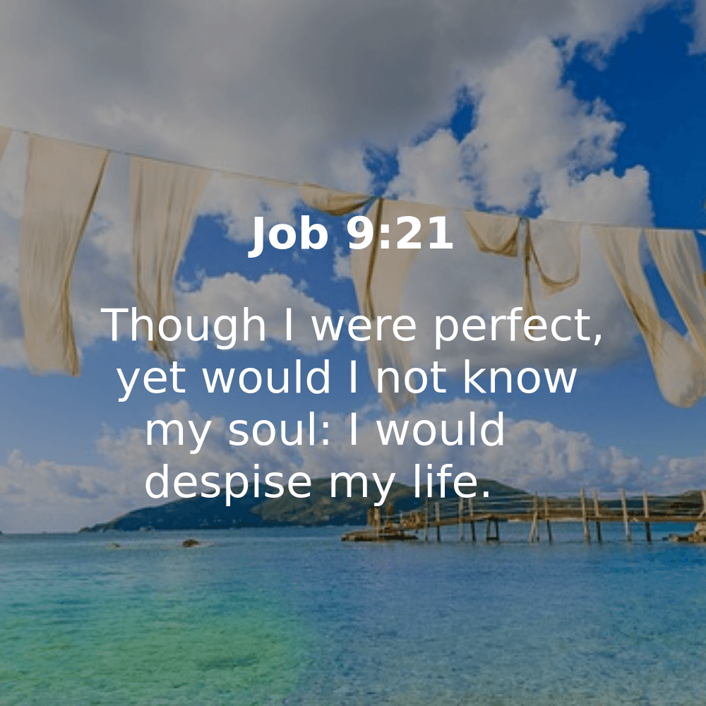 Job 9:21 - Bibleverses.net