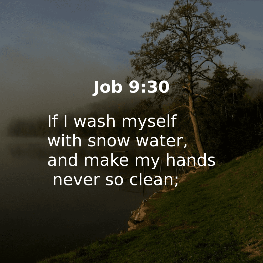 Job 9:30 - Bibleverses.net