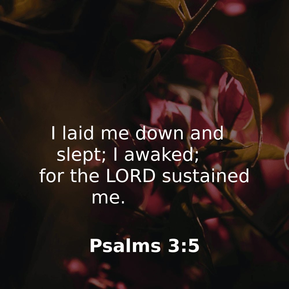 Psalms 3:5 - Bibleverses.net