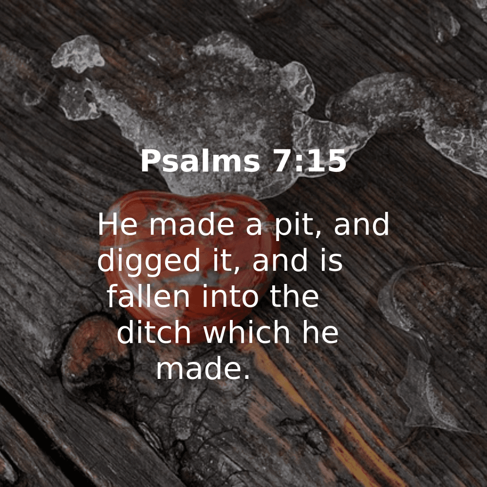 Psalms 7:15 - Bibleverses.net